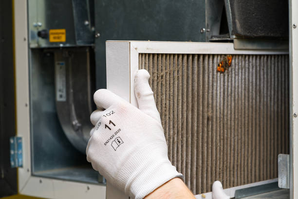 Best Ductwork Cleaning Services  in Fircrest, WA