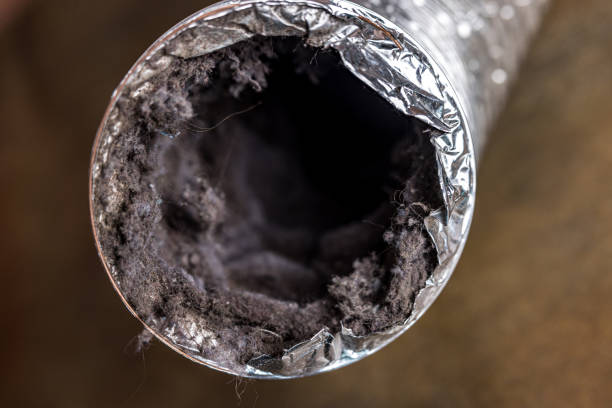 Best Commercial Air Duct Cleaning  in Fircrest, WA